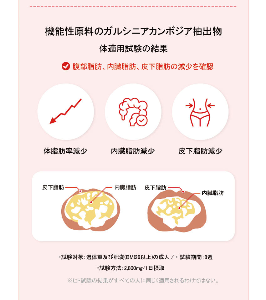 カロブレイク 28包x1箱(2週間分) ダイエット 体重ライト体脂肪カット炭水化物カットカテキン ガルシニアカンボジア サプリ